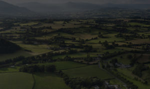 Aerial view of fields